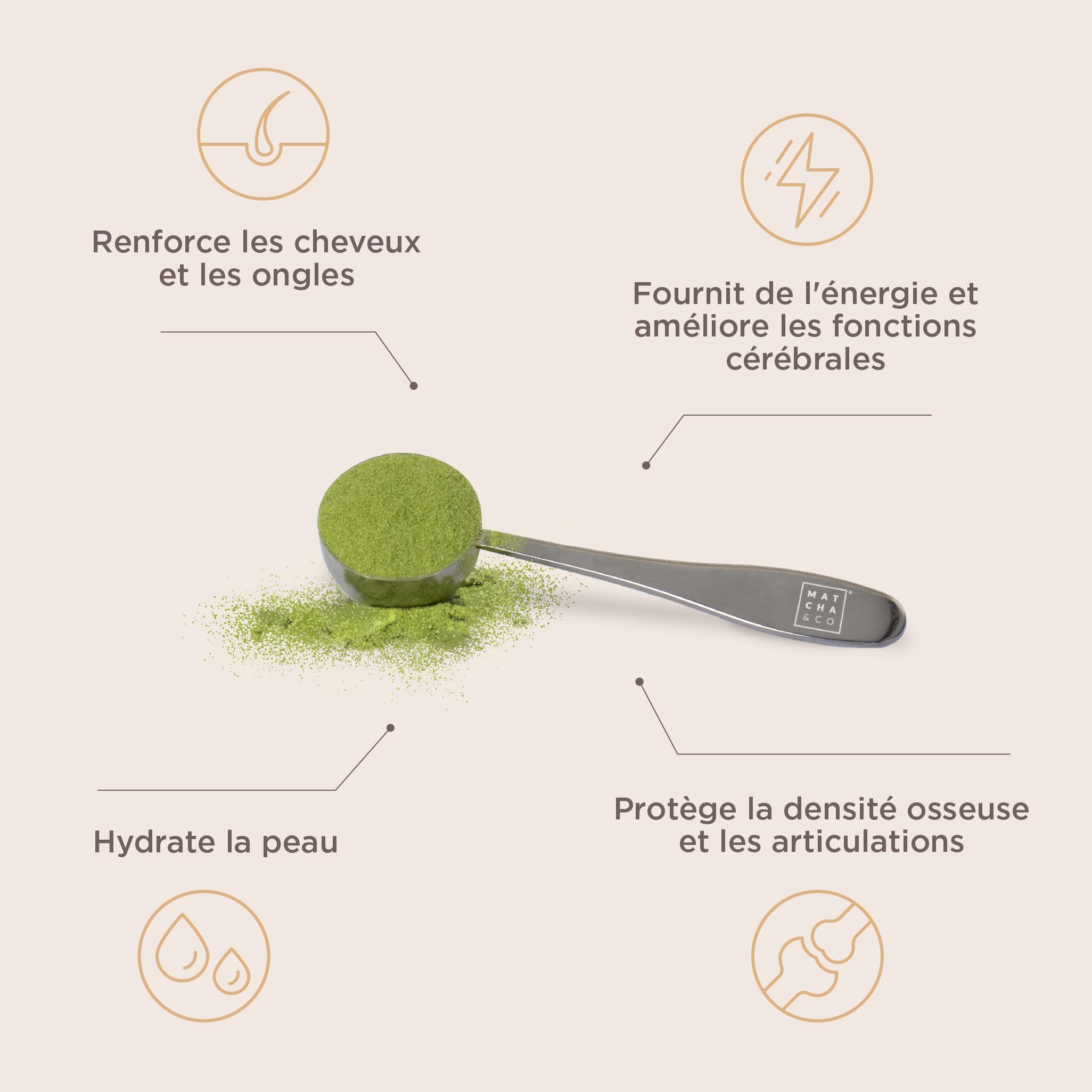 Collagène avec magnésium, thé Matcha et acide hyaluronique. Articulations, peau et ongles. 300 g de poudre de collagène matcha. Sans gluten, sans sucres ajoutés et sans OGM. Gardez votre corps sain