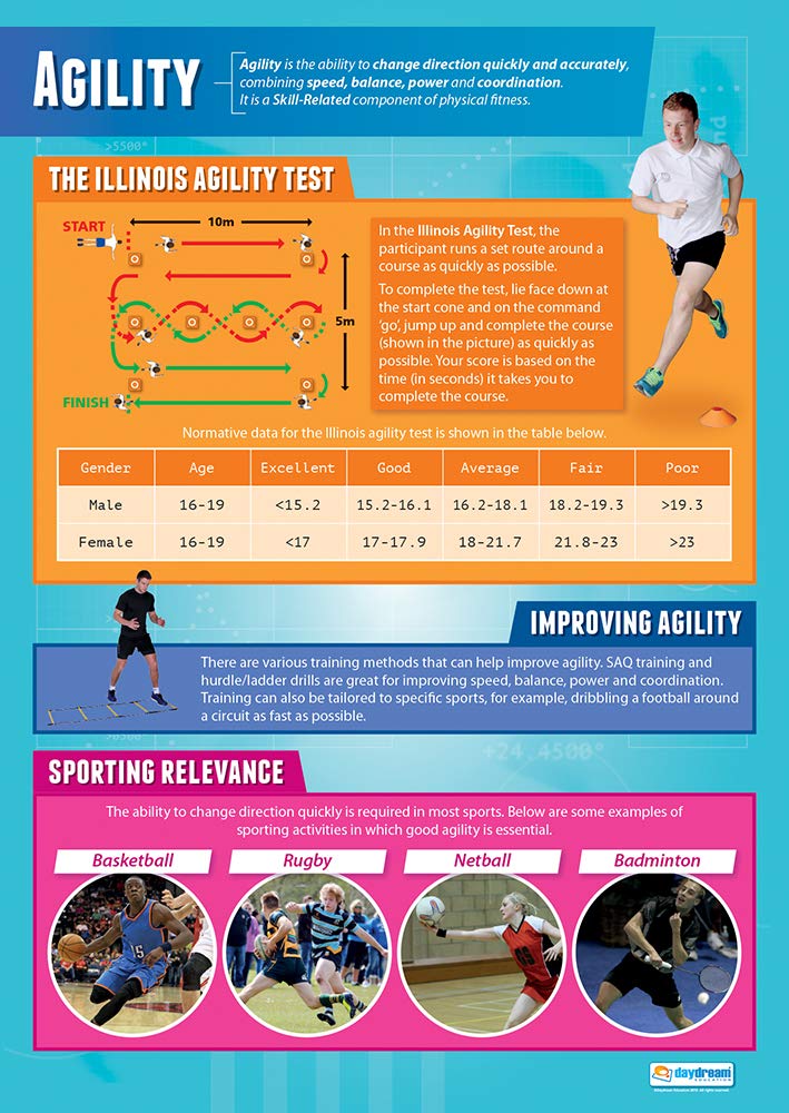 Agility | PE Posters | Gloss Paper measuring 850mm x 594mm (A1) | Physical Education Charts for the Classroom | Education Charts by Daydream Education