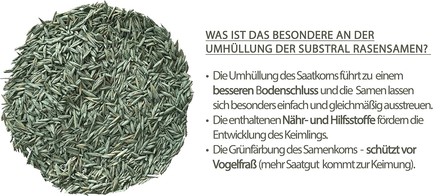 Substral Rasensamen Der Sonnige Trockenrasen Rasensamenmischung für sonnige und trockene Standorte 2,25kg | Für sonnige Standorte, Für trockene Standorte
