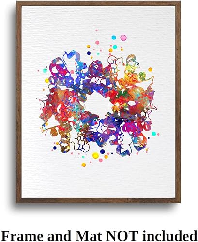 Miniatura 7 de Dignovel Studios 8 x 10 sin marco de hemoglobina de células rojas de la sangre proteína de arte médico ciencia hematología laboratorio clínica