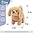Hopearl Walking Dog Golden Retriever Interactive Electronic Pet Plush Toy Puppy Woof and Moving Animated Nodding Head Gifts for Toddlers Birthday, Brown, 7\'\'
