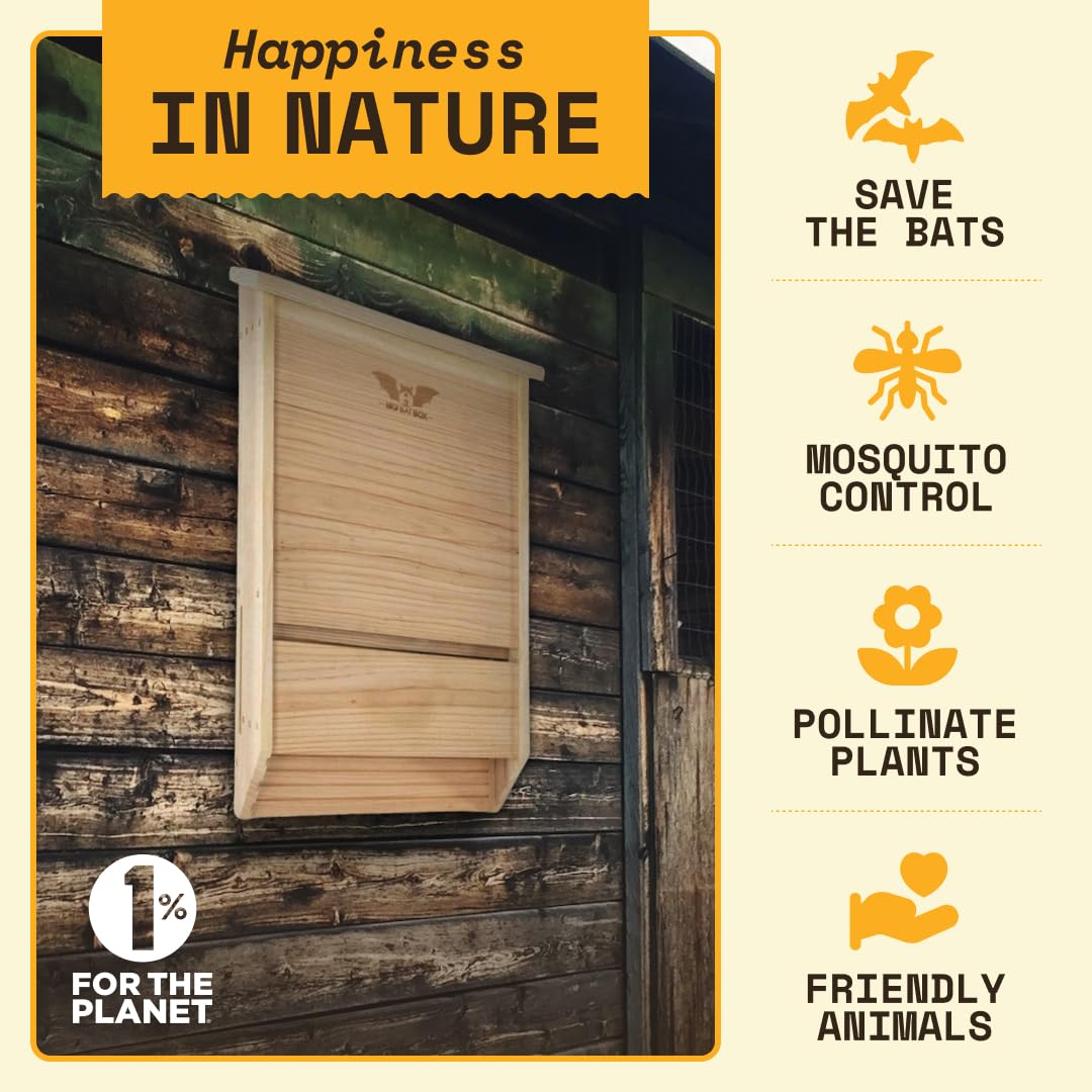 Big bat box Bci certificata Triple Chamber bat House, Unfinished