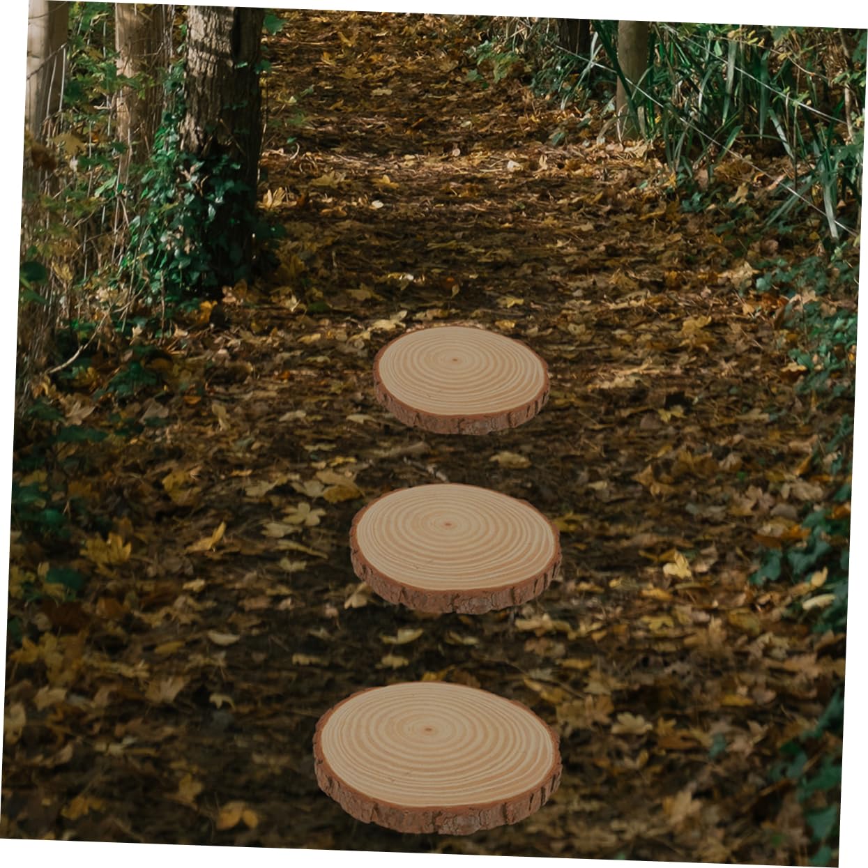 2pcs Garden Stepping Stones Outdoor for Outside Garden Pathway Walkway