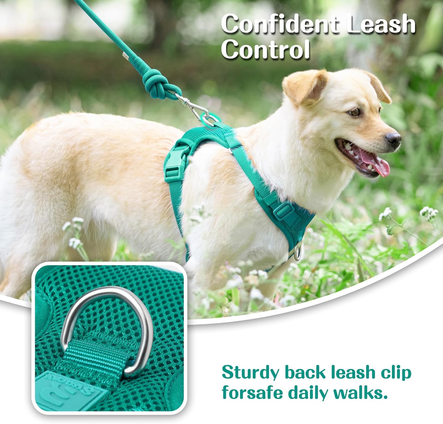 No Pull Dog Harness for Small Medium Large Dogs - Adjustable 2 Layer Mesh Dog Vest with Dual Clip, Escape Proof, Quick Release, Lightweight Breathable Mesh for Walking Hiking (MARRS Green,XL)