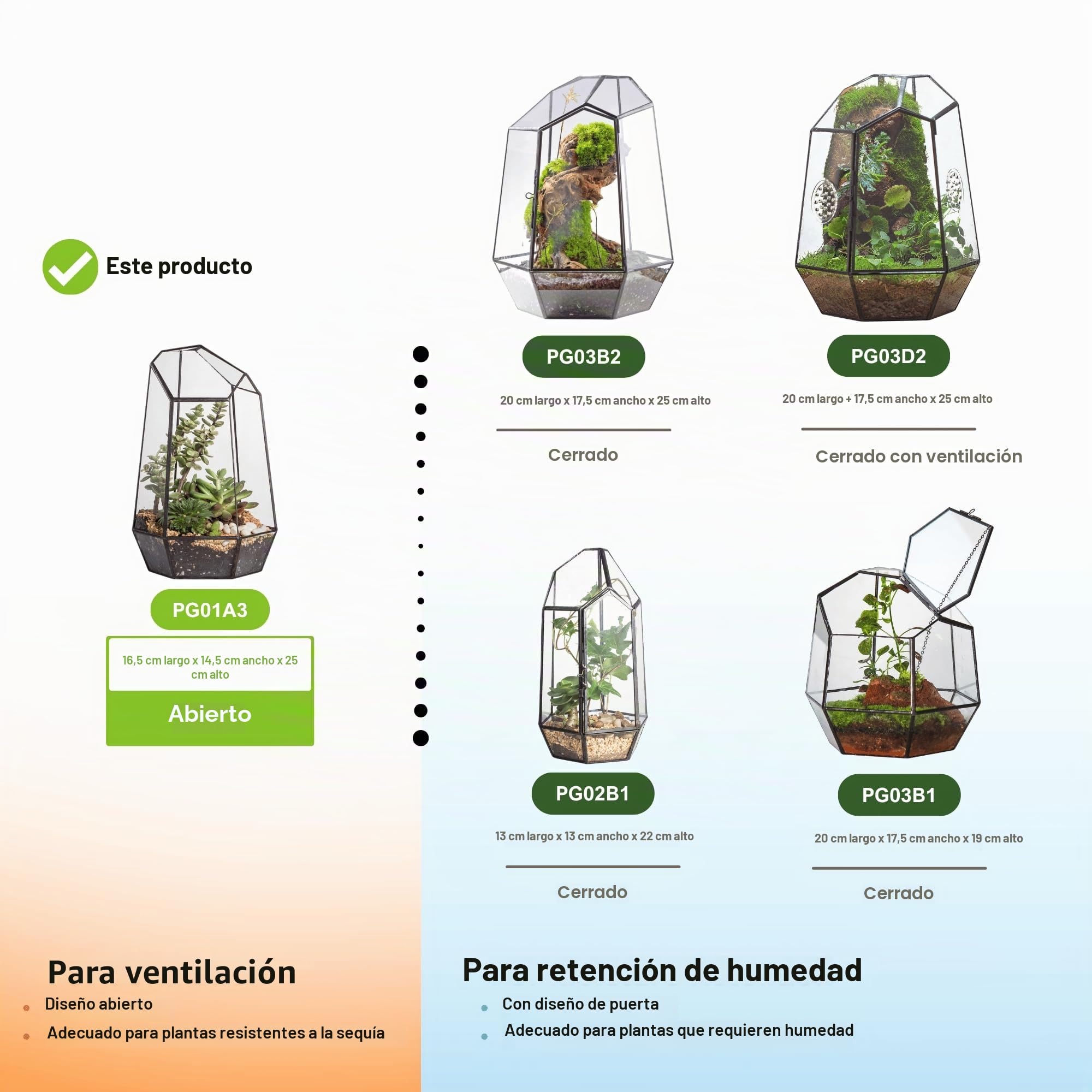 NCYP Terrario de Forma geométrica de Prisma de Cristal, 16,5x14,5x25cm, para Plantas suculentas (Solo Terrario, Sin Puerta No Hay Plantas)