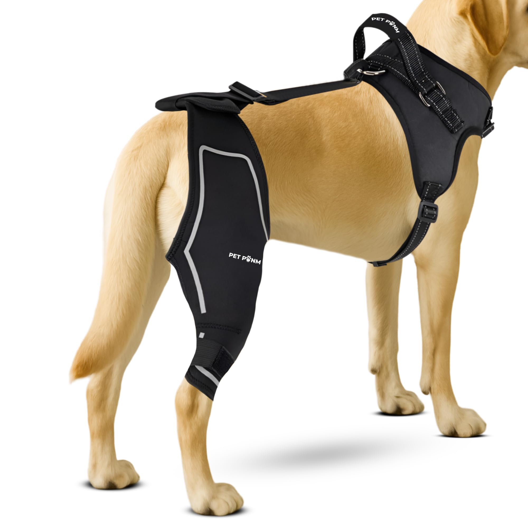 Petpanm Adjustable Dog Knee Brace