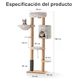 Ver la foto 2
