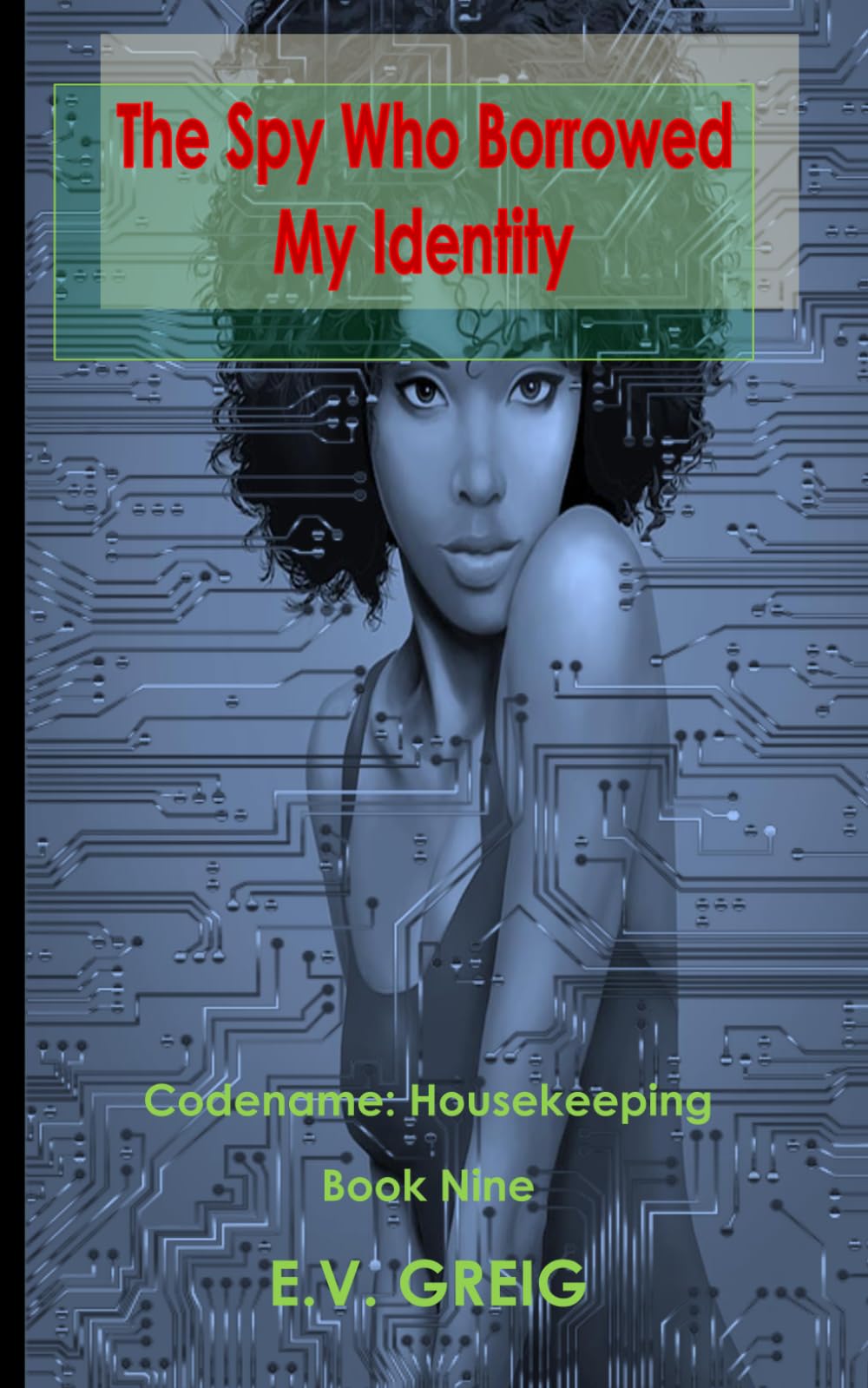 The Spy Who Borrowed My Identity (Codename: Housekeeping)