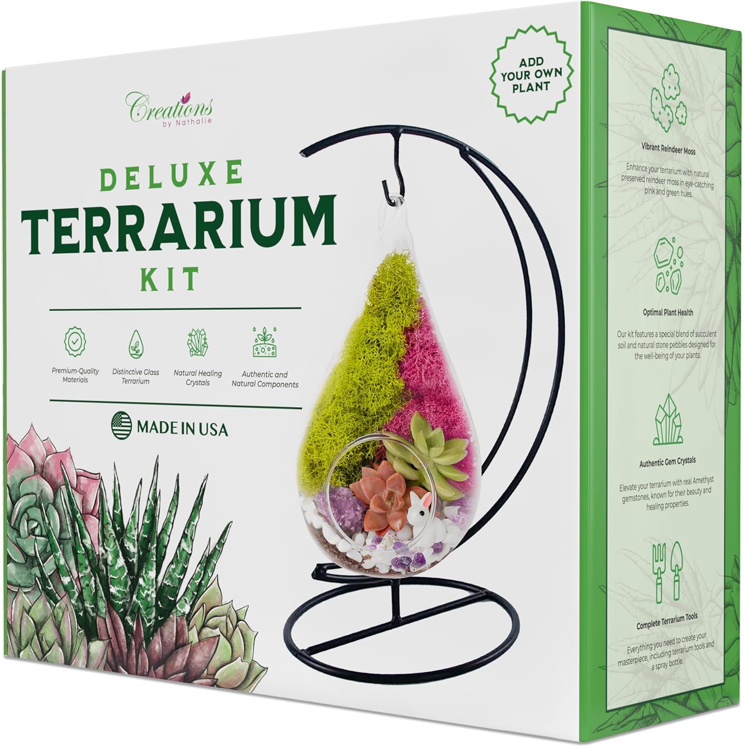 Creations by Nathalie DIY Teardrop Terrarium Kit