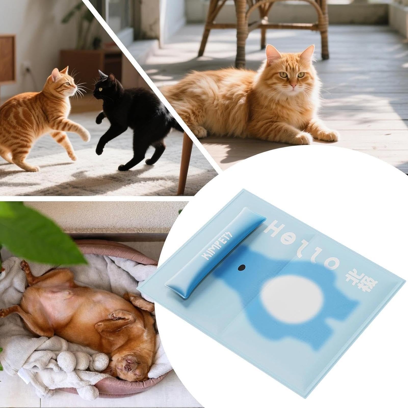 Colchoneta Refrescante para Perros Gel Lavable Impermeable Interior | Alfombrilla Refrescante para Gatos Mascotas Tamaño Pequeño, Mediano, , , Gatos, Jaula, Viaje, Playa, Verano, Camping