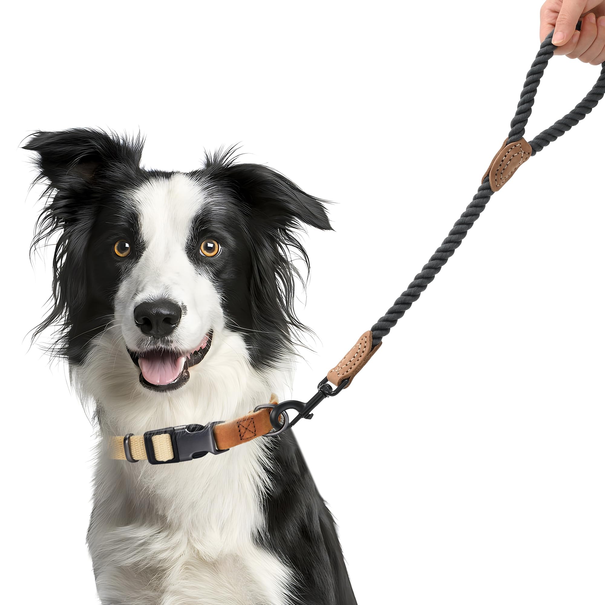 Mile High Life Short Dog Leash, Short Cotton Leash-Dark Grey, 18 Inch-1/2" - Image 2