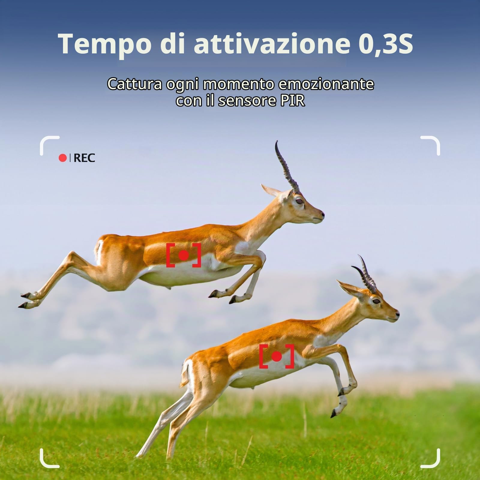 Macchine Fotocamera de Caccia 24MP 1296P Cacciatori di Videocamere Cacciatori di Animali Selvatici, No Glow 36 LED IR Visione Notturna 70 Piedi, IP66 Impermeabile, 2,4" LCD