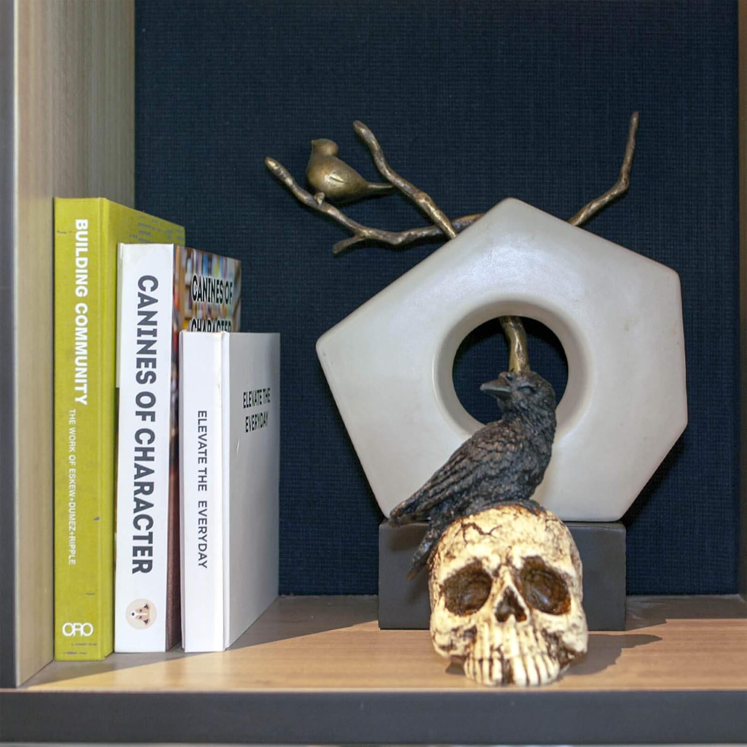 Raven On Skull Halloween Decoration - Gothic Crow On Skull Statue, Bird Perching On Skeleton Figurine, Macabre Ossuary Sculpture : Home & Kitchen