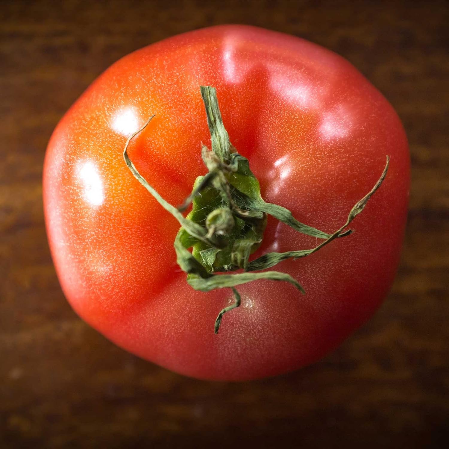 Tomato Garden Seeds - Brandywine Pink - 4 Oz - Non-GMO, Heirloom Vegetable Gardening Seed
