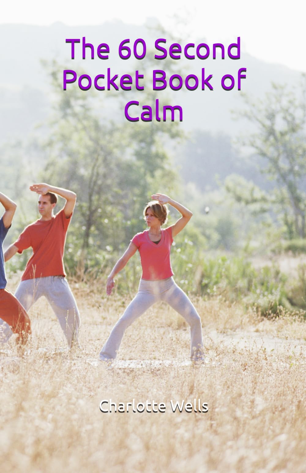 The 60 Second Pocket Book of Calm: A companion guide to the 'Present, Not Perfect' Gratitude and Mindfulness Journal