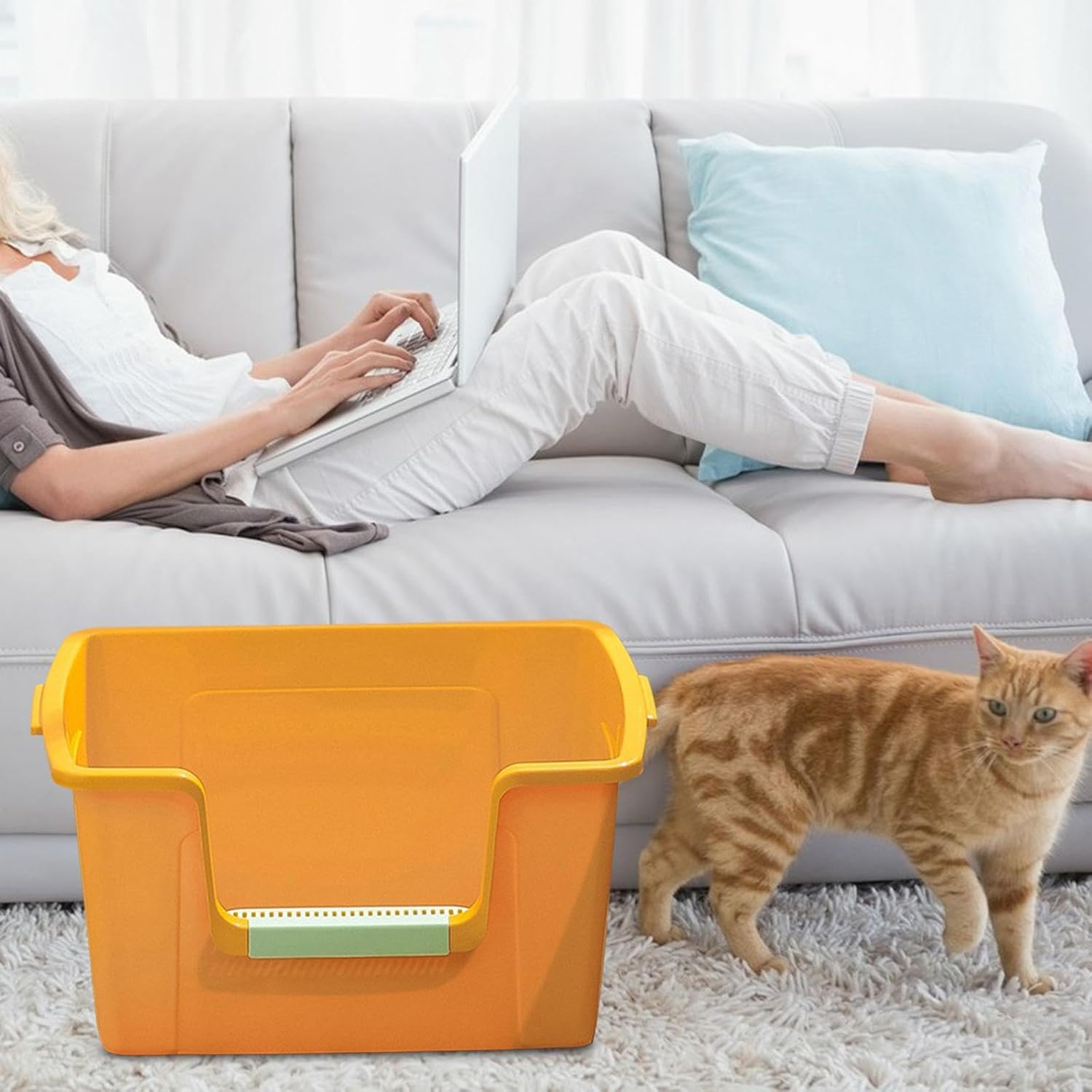 リモージュボックスBOX キャット猫シリーズLimoges Limoges Box