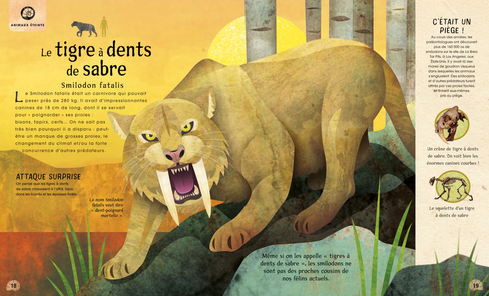 Incroyables animaux disparus ou menacés