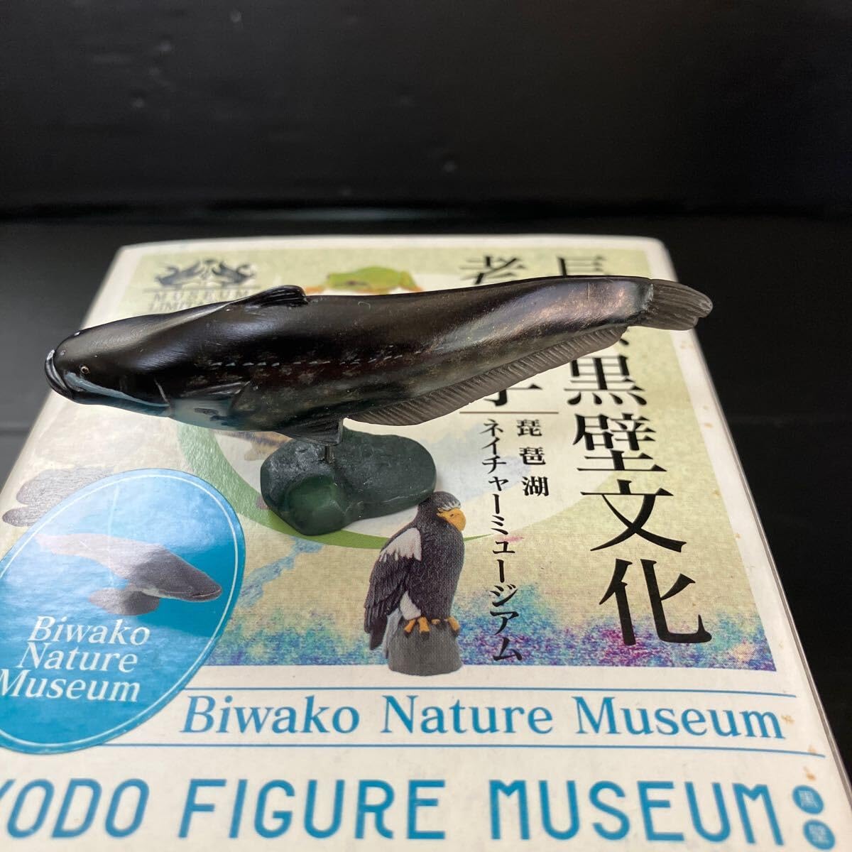 Amazon | 海洋堂フィギュアミュージアム黒壁 長浜黒壁文化考現学 