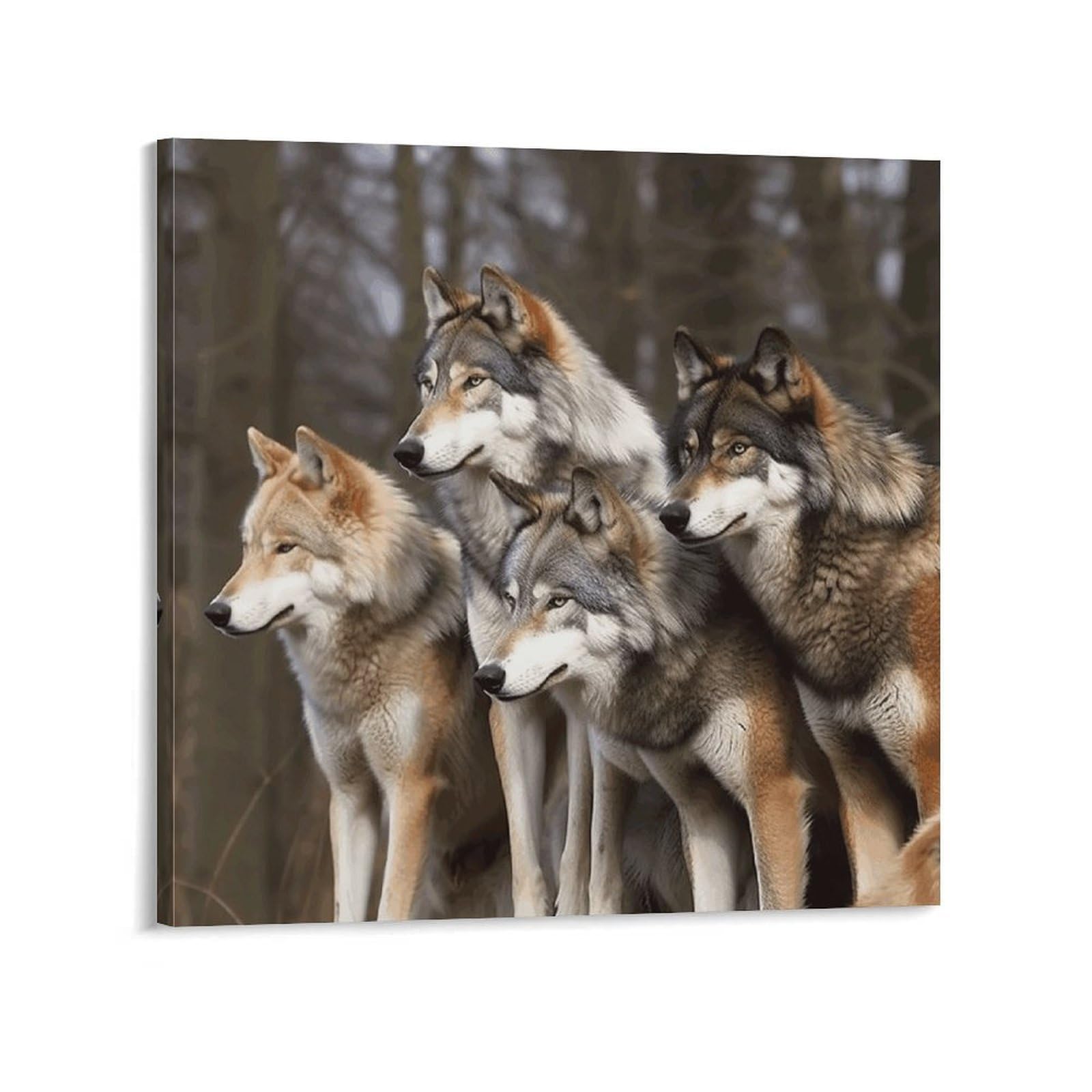 Different Colored Wolves Canvas Wall Art for Bedroom 20x20inch(50x50cm) Canvas Prints Artwork for Walls Modern Picture Artwork Painting for Living Room Aesthetic Wall Paintings for Bathroom Kitchen Of