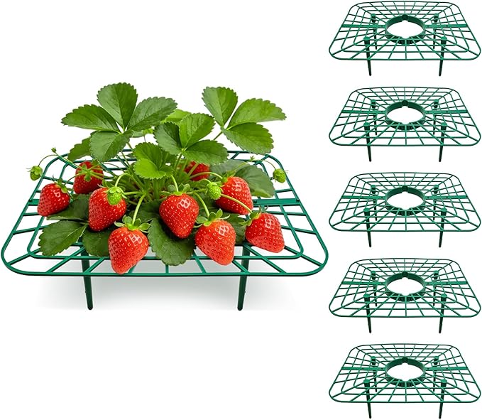 JJKOL Square Strawberry Supports: Durable Plant Protection for Home Gardens