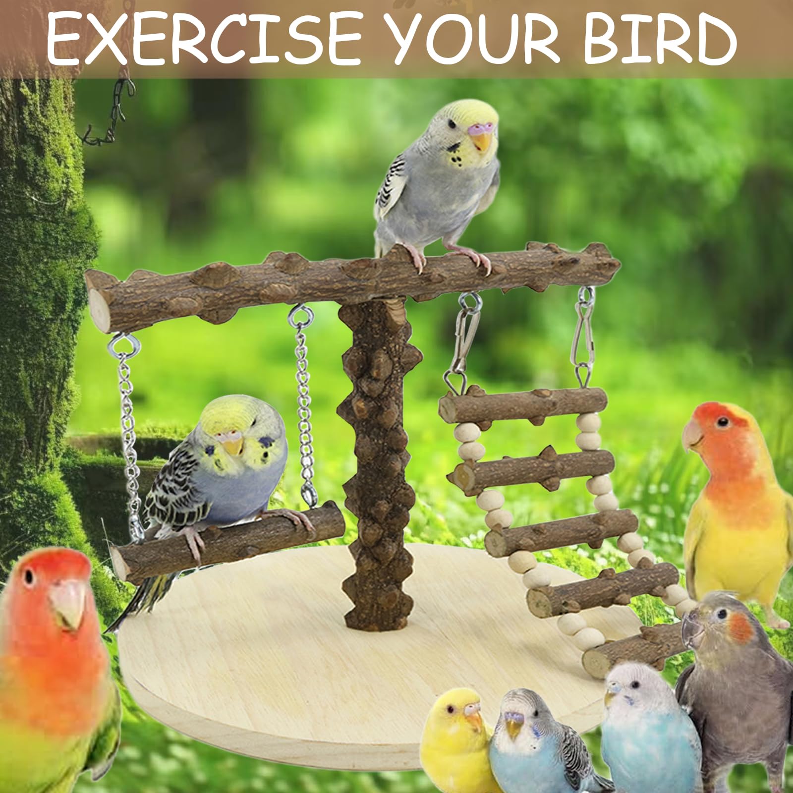 Parrot Playstand in Legno - Parco Giochi per Pappagallo con Scala e Altalena per Uccelli