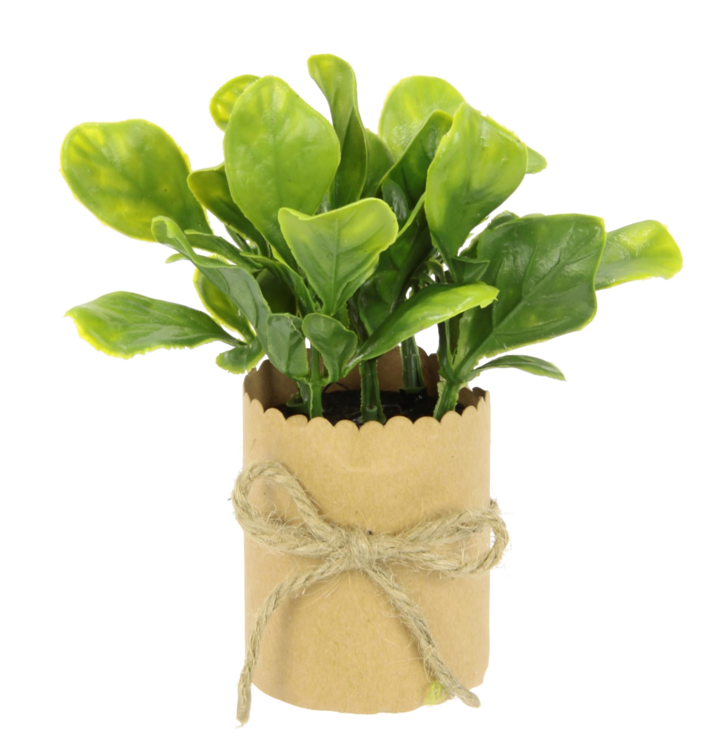 Amazon.de: Knstliches mini Kruter Sortiment im Papiertopf Pflanzen  Kunstpflanzen Eukalyptus Rosmarin Spinat Thymian Basilikum Lauch  Schittlauch Gartenkruter Deko fr Kche Wohnzimmer 6er Set, 12x8x8cm