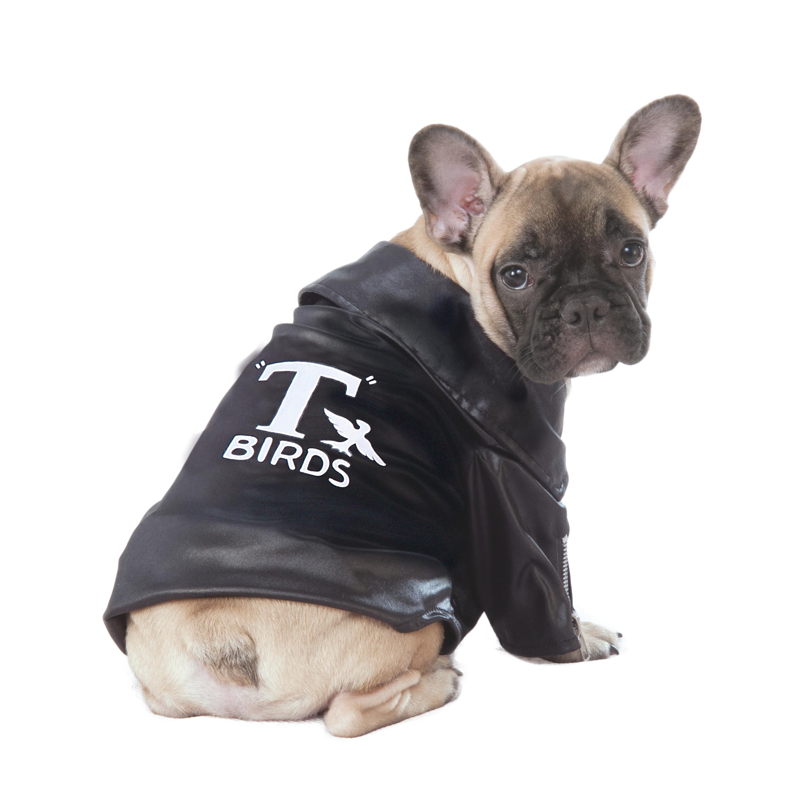 Rubie's Grease Pet T-Birds Costume Jacket, X-Large (580674LXL_XL)