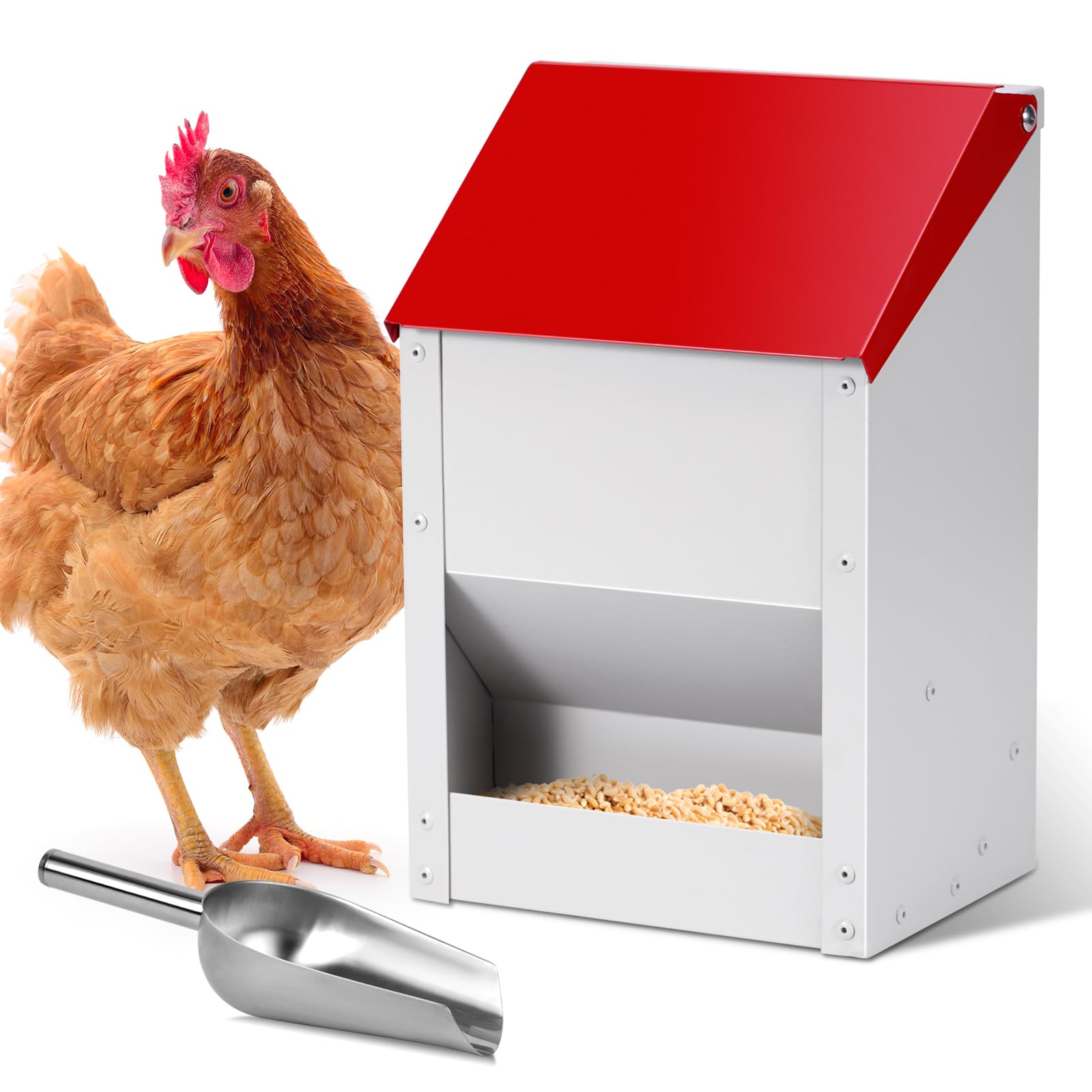 Automatic Chicken Feeder 10lbs Metal Chicken Feeder No Waste Wall Mounted Poultry Feeder Trough with Scoop for Chickens Ducks Quail Geese Pet