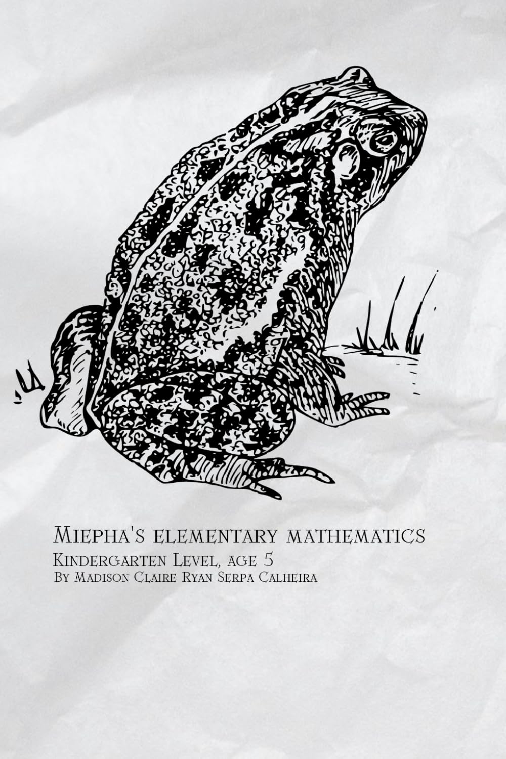 Miepha's Elementary Mathematics: Kindergarten Level, Age 5