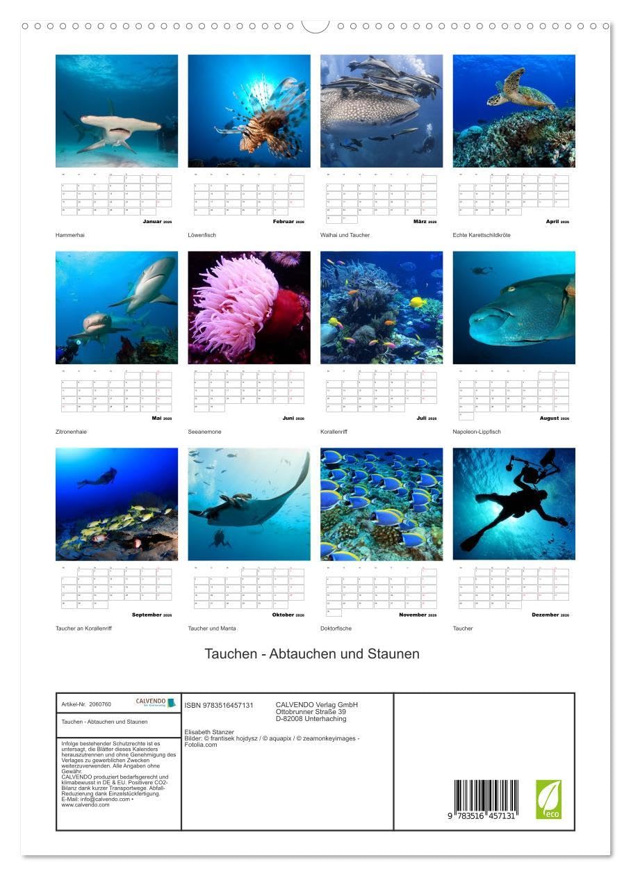 Tauchen - Abtauchen und Staunen (hochwertiger Premium Wandkalender 2026 DIN A2 hoch), Kunstdruck in Hochglanz: Abtauchen in die faszinierende Unterwasserwelt unserer Meere