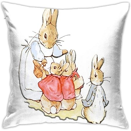 peter rabbit pillow