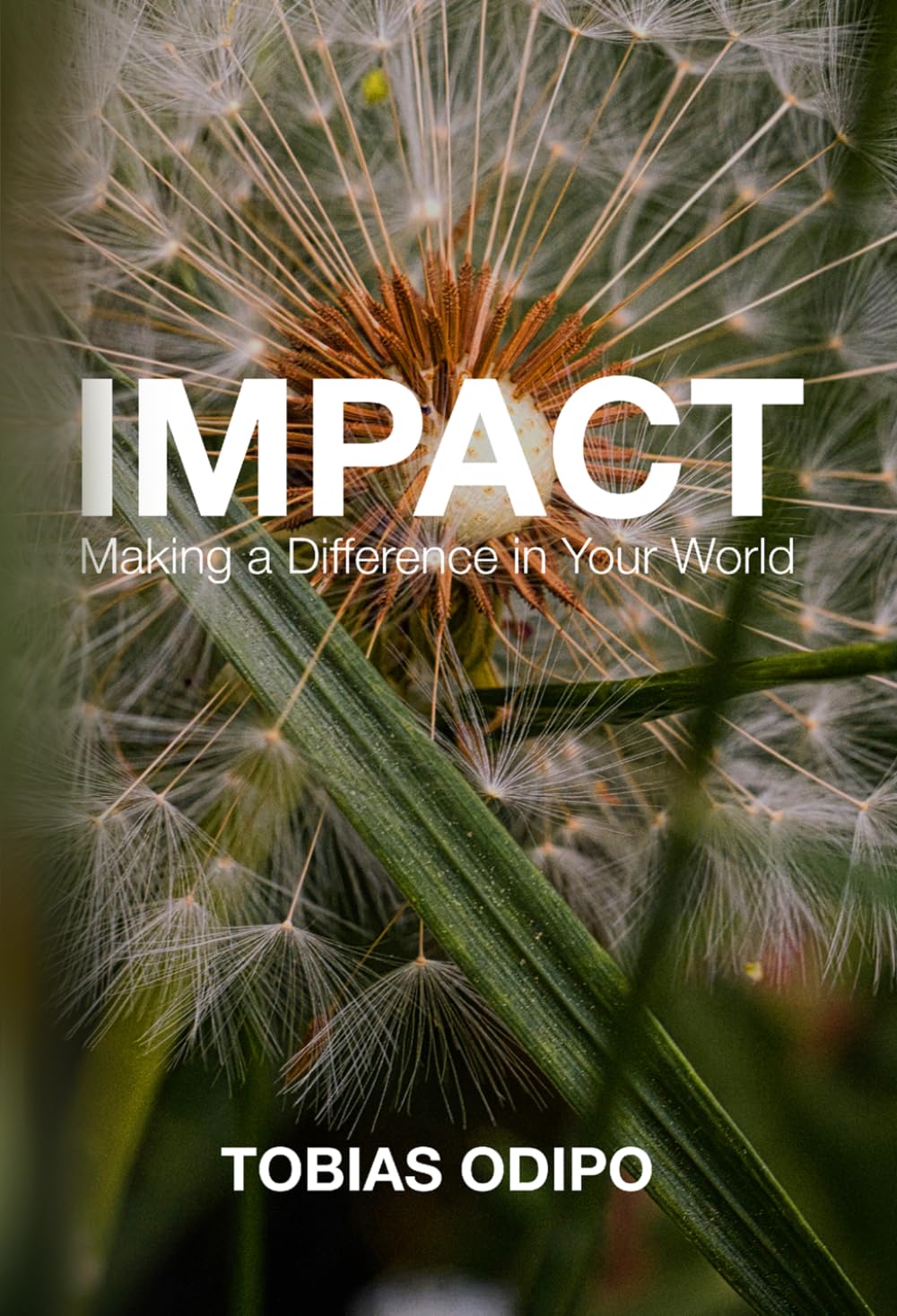 IMPACT: Making a Difference in Your World