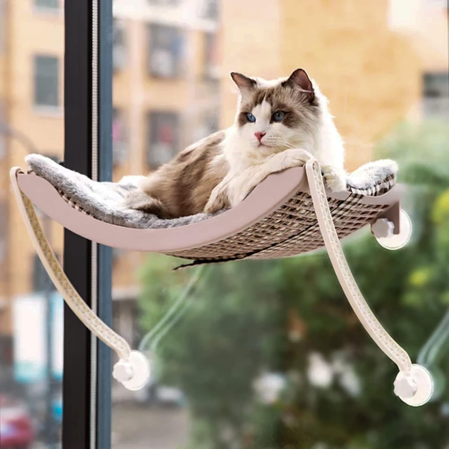 Cat Window Perch for Indoor Cats, Bundle of 2 Includes Cat