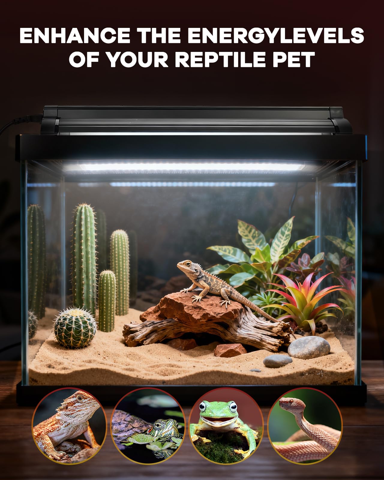 Haceryc UVB Light for Reptile 8W, T5 UVB Reptile Light Fixture HO Combo Kit with Test Sensor Cards, 12" High Output Reptiles Light Bar UVA UVB Desert Lamp for Turtle Lizard Bearded Dragon Tank - image 4