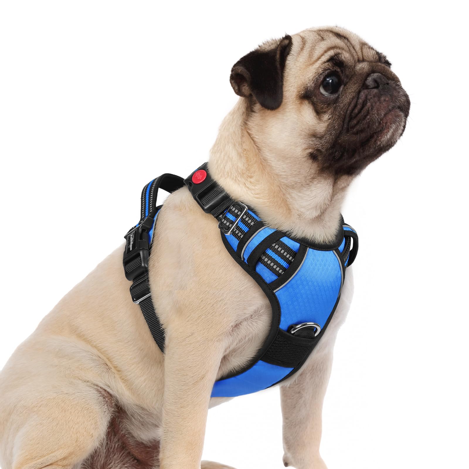rabbitgoo Dog Harness Small Sized, No Pull Dog Vest with 3 Buckles, Adjustable Soft Padded Pet Harness with Easy Control Handle and Reflective Strips,