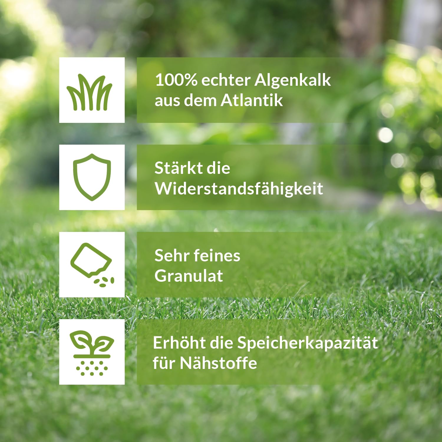 TerraDomi 10kg natürlicher Algenkalk für 250m² I 100% echter Algenkalk zur Stärkung der Widerstandsfähigkeit von Buchsbäumen und anderen Pflanzen I Beugt Befall von Buchsbäumzünsler und Pilzen vor