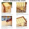 Auto Flow Hive Beehive Kit with Flow Frame & Honey Spout, Cabin Style Flowhive Beehive Starter Kit for Backyard Beekeeping 24×22×30