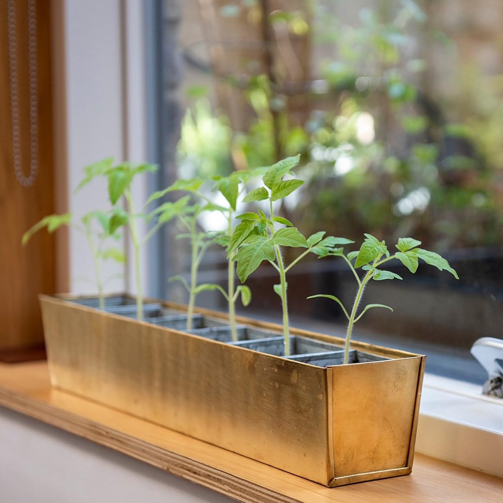 Crocus Collection Set of 6 Metal Galvanised Grow Pod Planters Square Bottomless Pots in Rectangular Brass Reservoir Tray