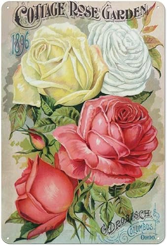 Cartel retro de metal con estampado de flores vintage 1896 Cottage Rose Garden Floral Nature Plants Kitchen Garden Home Horticultura Decoración de