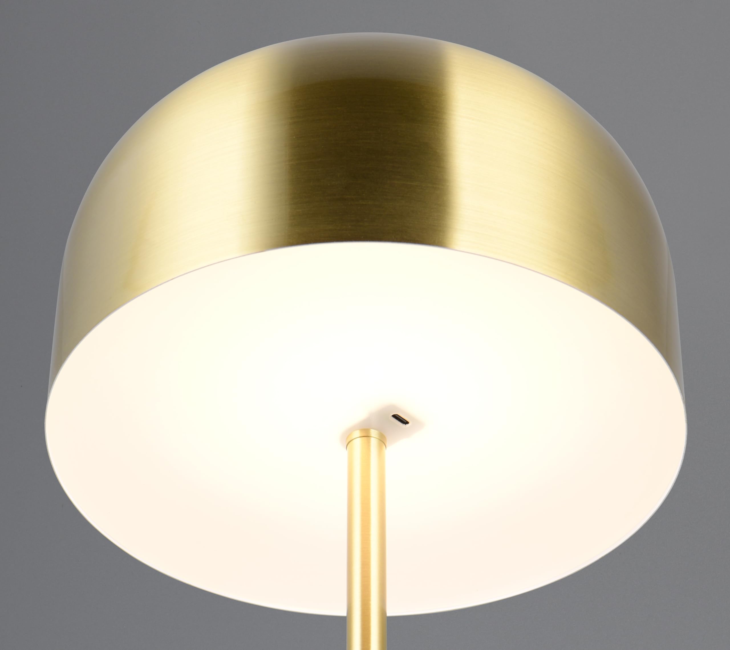 Reality Leuchten Jeff R49151108 - Lampada a stelo a LED, in ottone opaco, con LED da 2,5 Watt