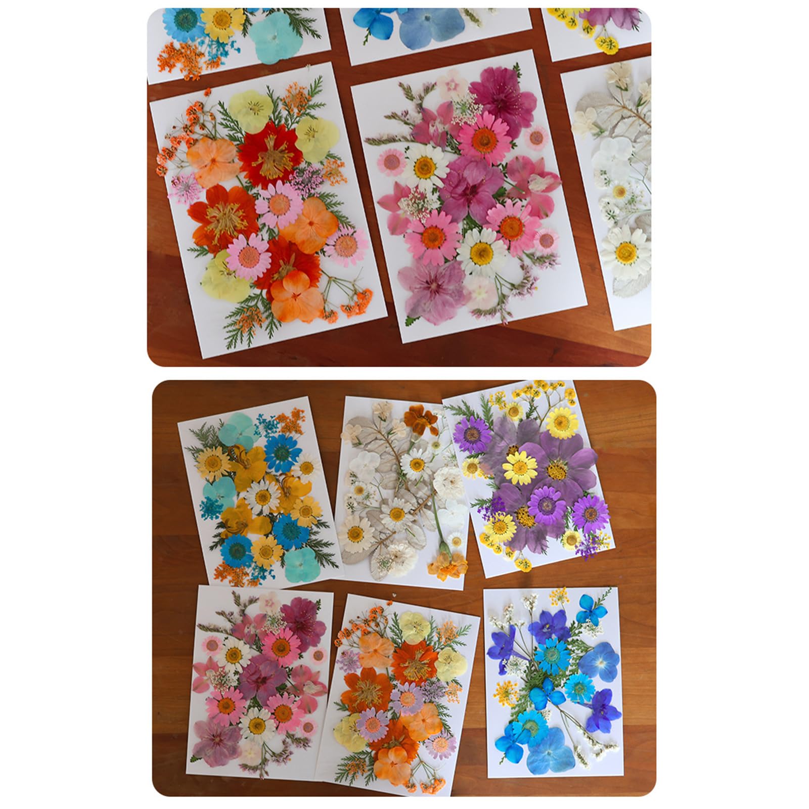 Ryebme 140 Pezzi Naturali Fiori Secchi, Pressati Secchi Foglia con una Pinzetta, Pressata Floreale Naturale per Candele Fai da Te, Gioielli in Resina