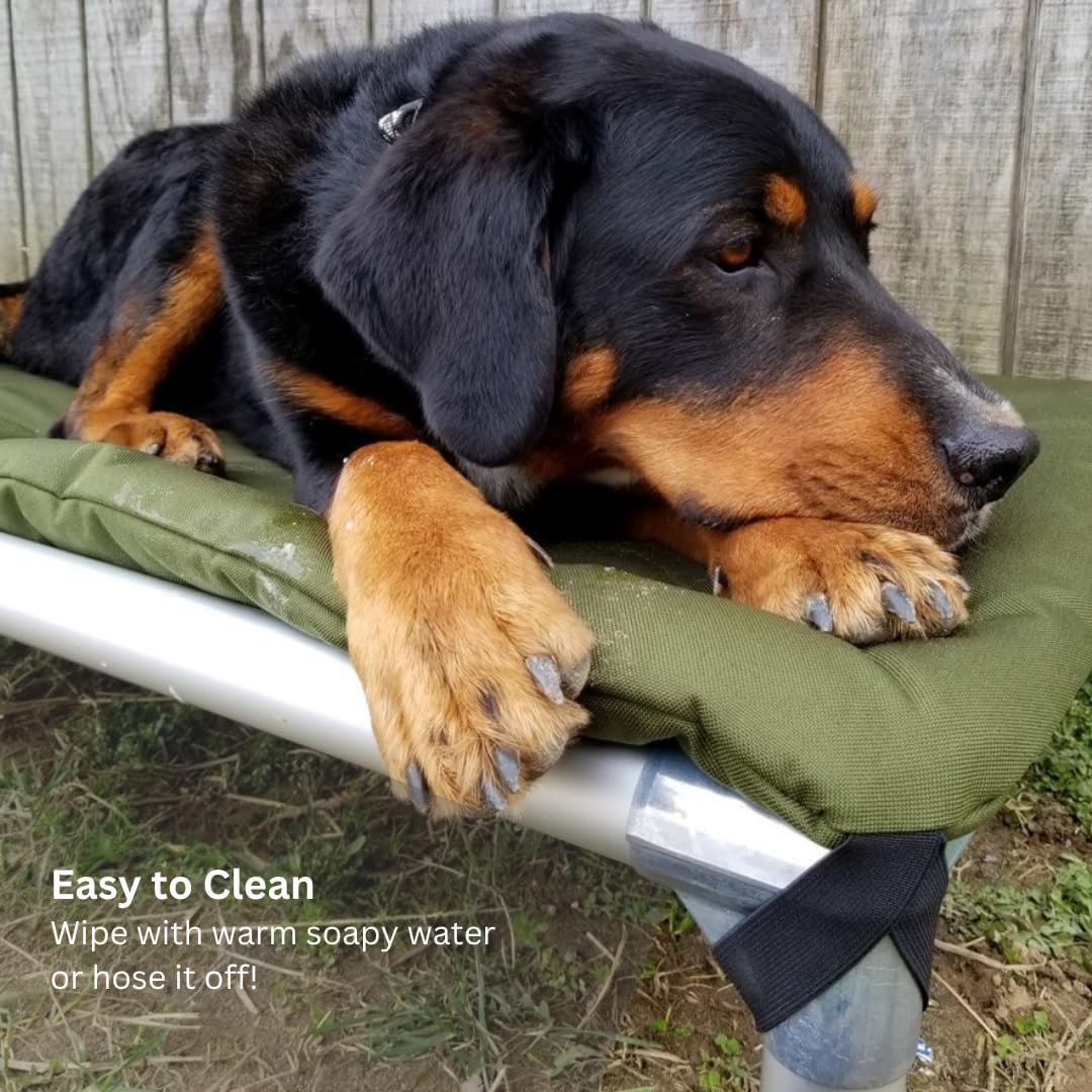 Kuranda Chewproof Elevated Pet Bed - Silver Aluminum - 50" x 36" - Sunsure Textilene - Birch - image 7