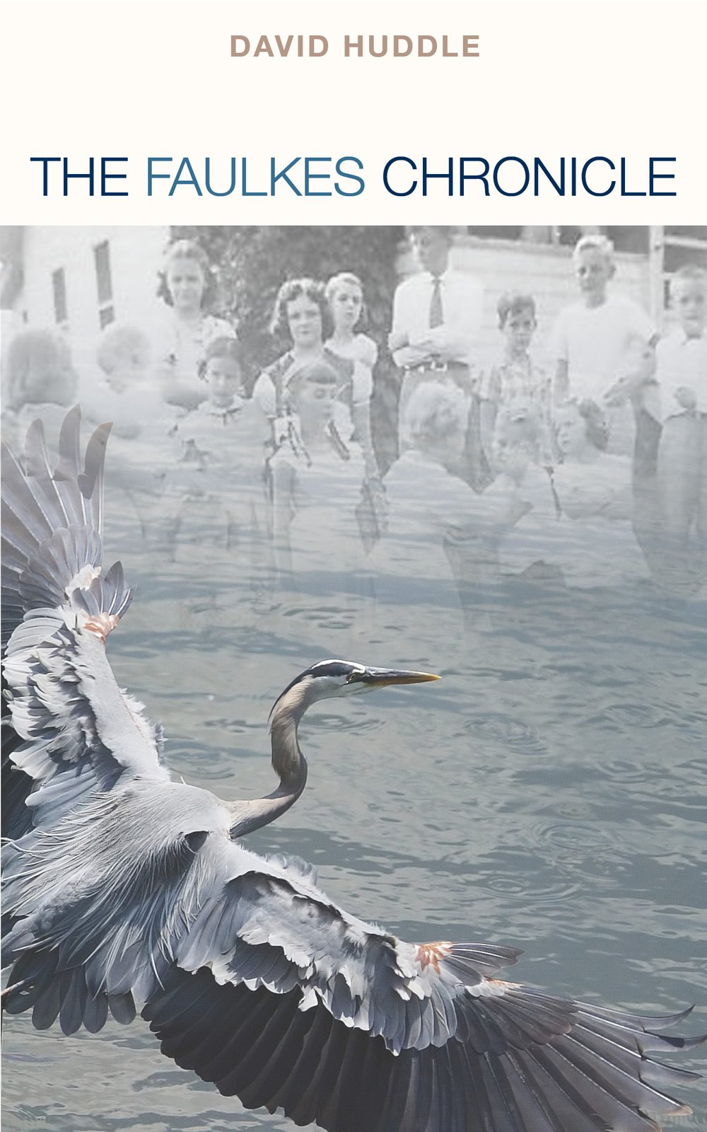 The Faulkes Chronicle