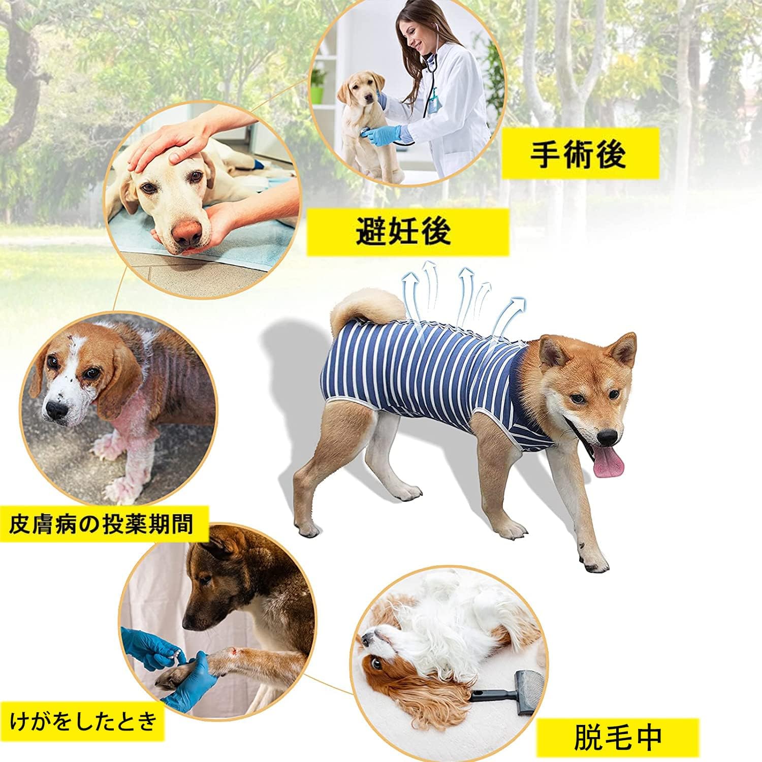 ❣️未使用❣️ 術後服 犬 服 犬用品 術後ウェア 避妊 傷口保護 SSピンクブルー Amazon | ジジ・ルシアン ZIZILECHI 術後服 犬術後服 避妊手術後