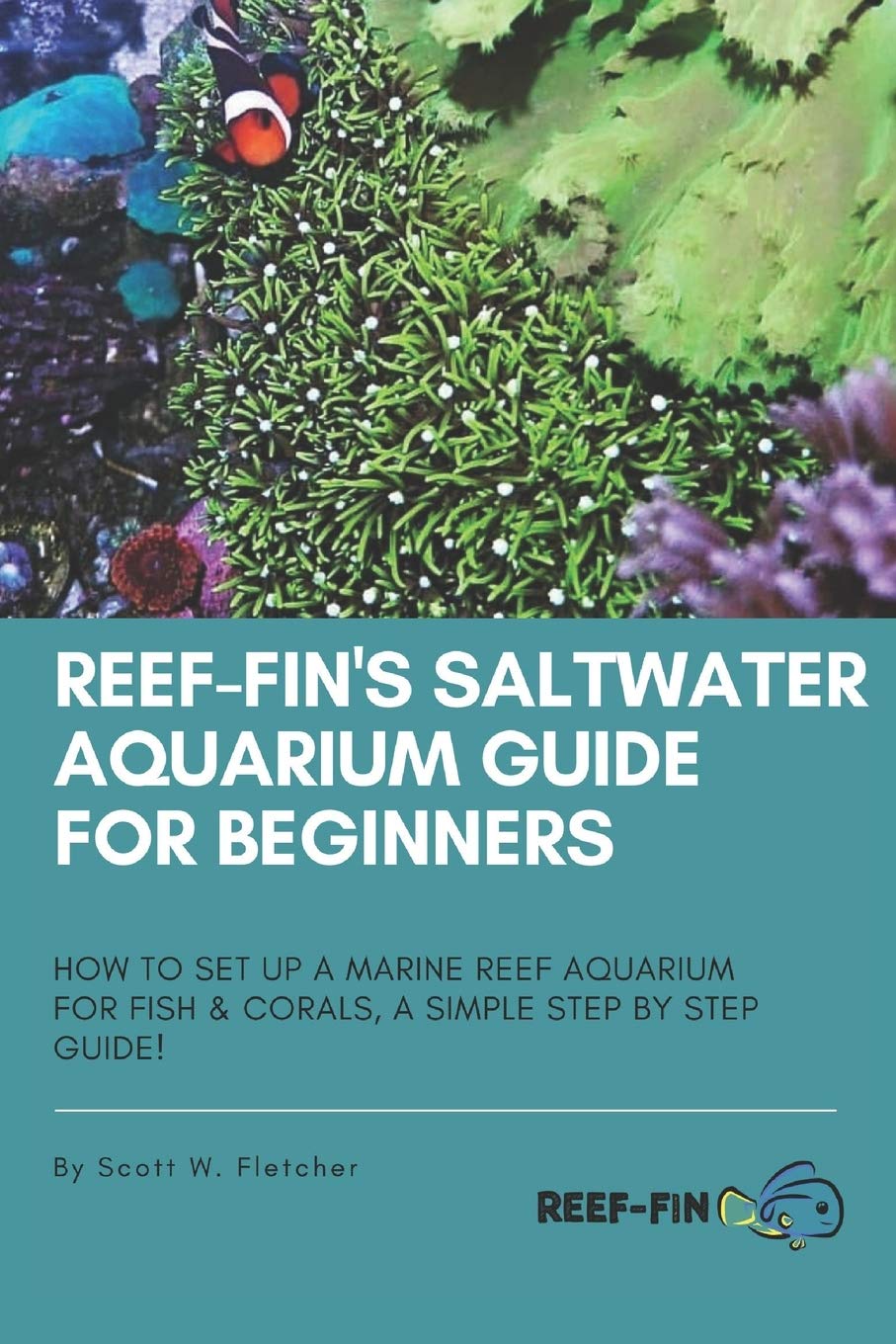 Buy Reeffin's Saltwater Aquarium Guide for Beginners How to Set Up a