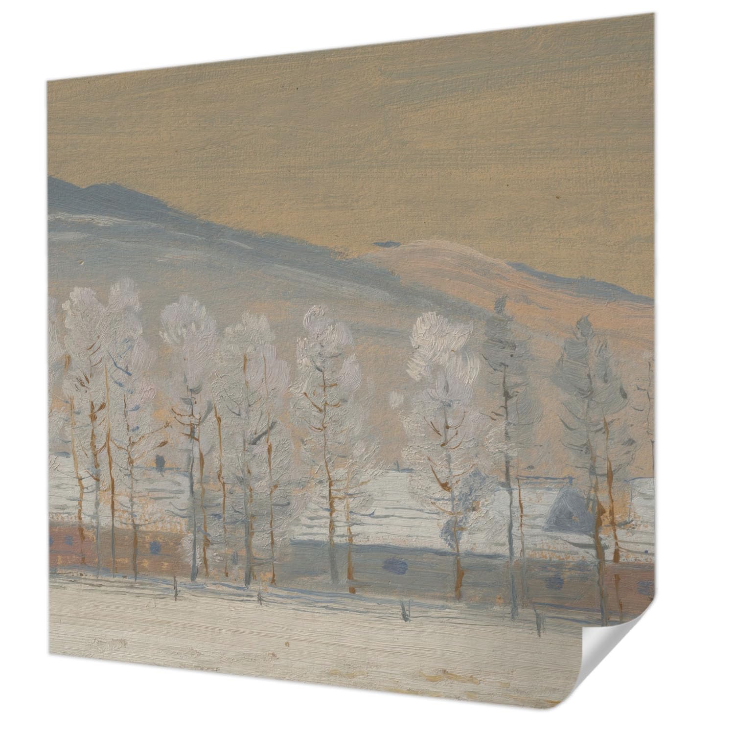Papier peint auto-adhésif pour masquer les imperfections murales sans colle 250x250