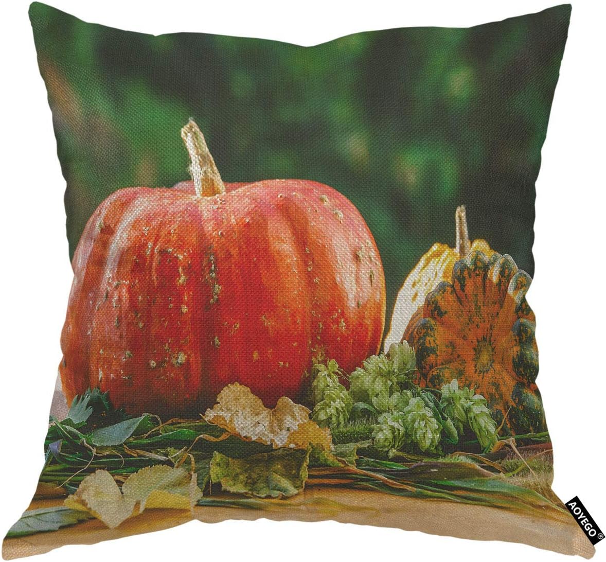 AOYEGO Halloween Red Pumpkin Throw Pillow Cover Squash On A Green Blurred Background Agriculture Farm Food Fresh Pillow Case 18x18 Inch Decorative Men Women Boy Girl Room Cushion Cover for Home Couch
