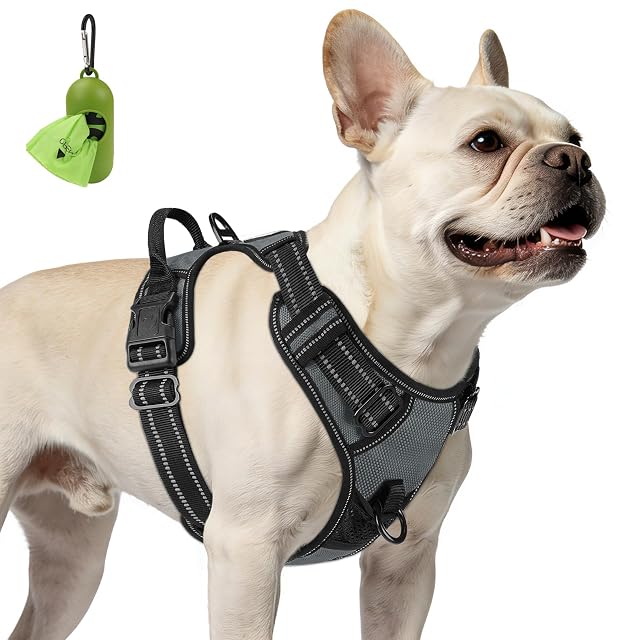 Joytale Arnes Perro Pequeño,Chaleco Reflectante Suave Transpirable para Perro,Arnés con Doble Anilla,Arnés…