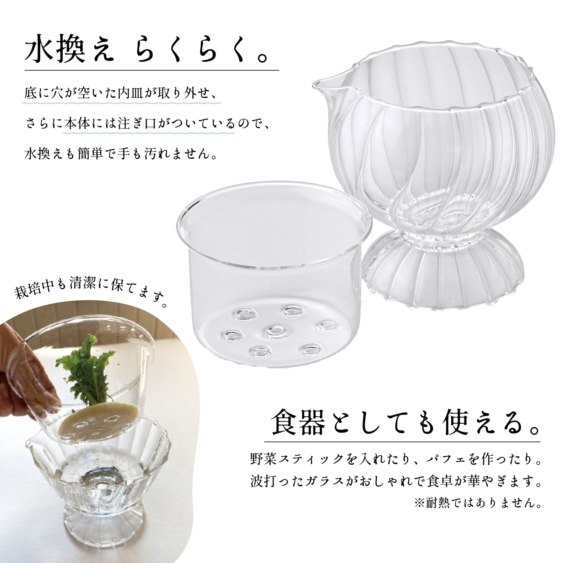 Amazon.co.jp: SPICE OF LIFE(スパイス) 再収穫を楽しむ
