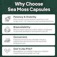 Vista 6 de Cápsulas de musgo marino salvaje orgánico de Organics Ocean - Musgo marino irlandés 100% orgánico con clorella orgánica, fucus y vitamina D